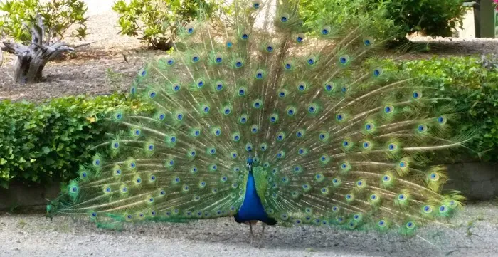 Hidden Acres Family Campground 4