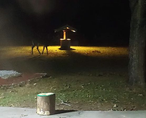 Countryside Campground