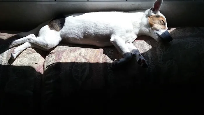 Cliff and Ed's Campground 7