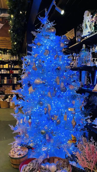 Cliff and Ed's Campground 3