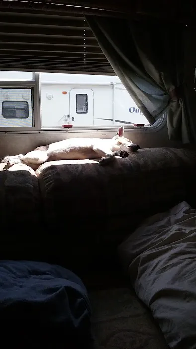 Cliff and Ed's Campground 0