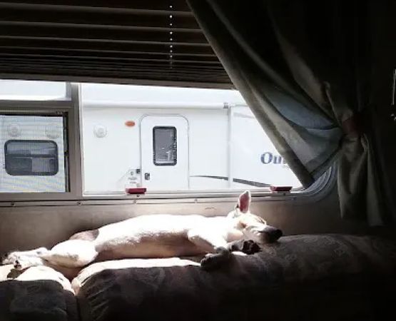 Cliff and Ed's Campground