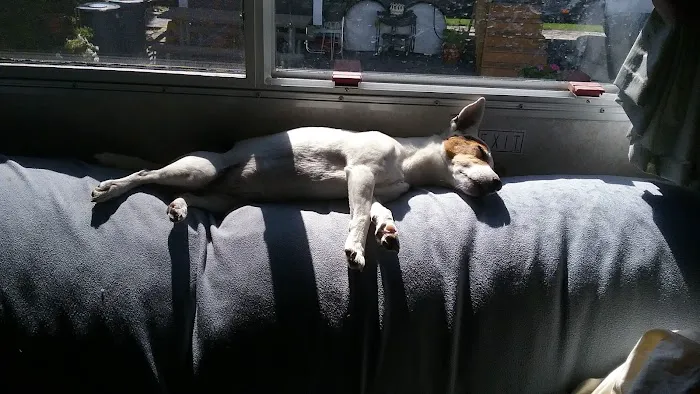 Cliff and Ed's Campground 5