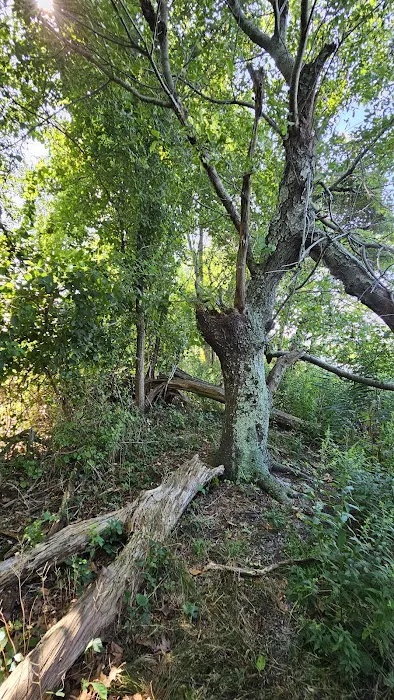 Indian Island Campground 0