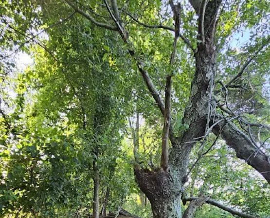Indian Island Campground