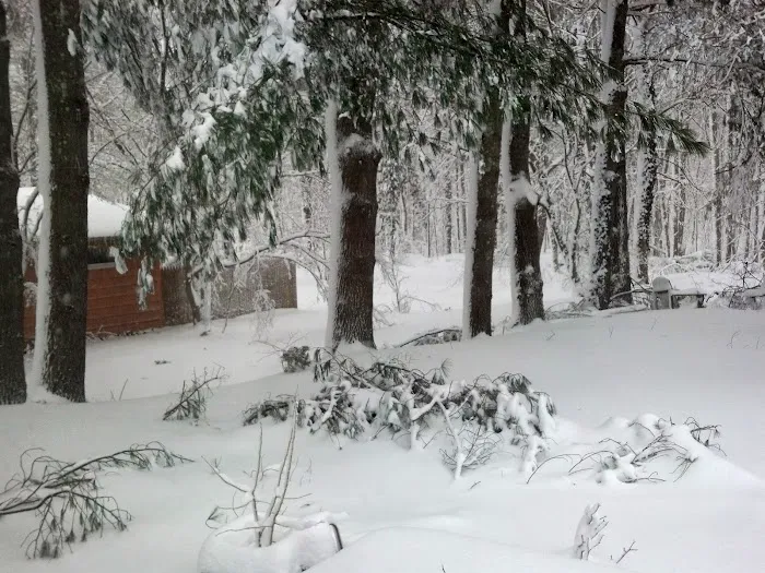 Arlington Acres MHP 8