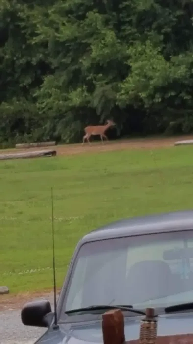 Harbour Light Estates 0