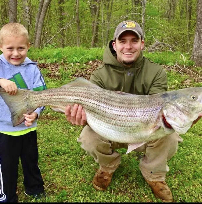 Cicala Beach House 5