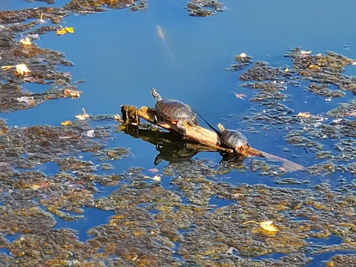 Lake Haven Manufactured Home Community 5