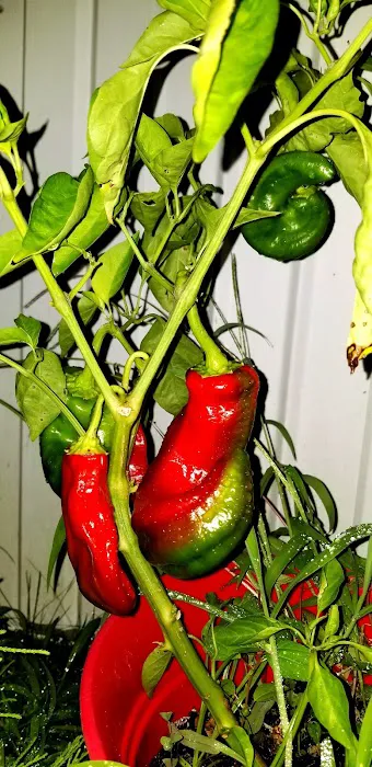 Lake Haven Manufactured Home Community 7