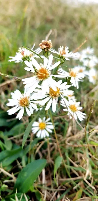 Lake Haven Manufactured Home Community 9