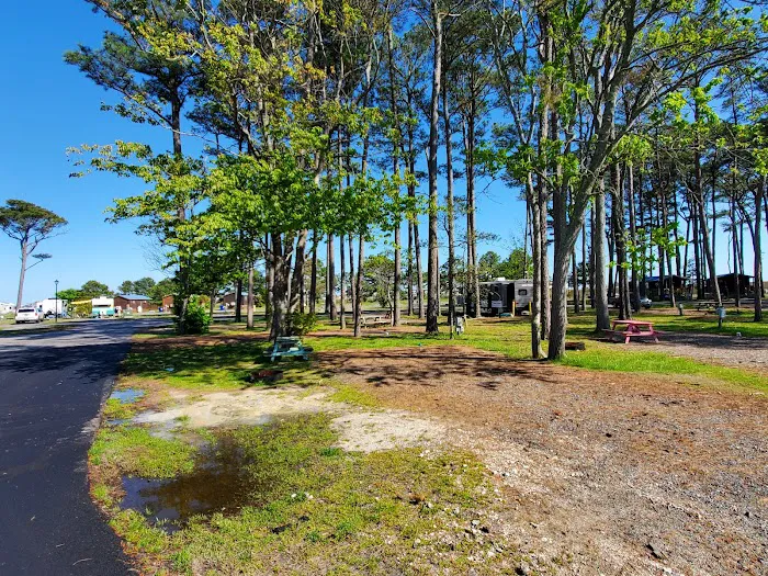 Treasure Beach RV Park & Campground 4