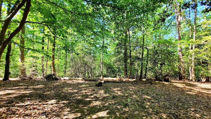 Calvert Cliffs Campground 3