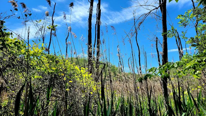 Calvert Cliffs Campground 0