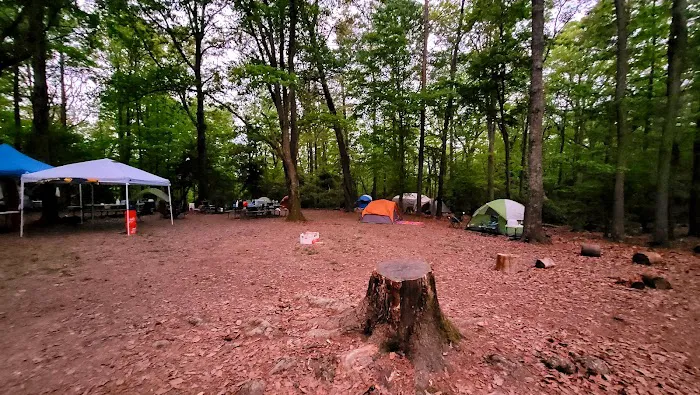 Calvert Cliffs Campground 4