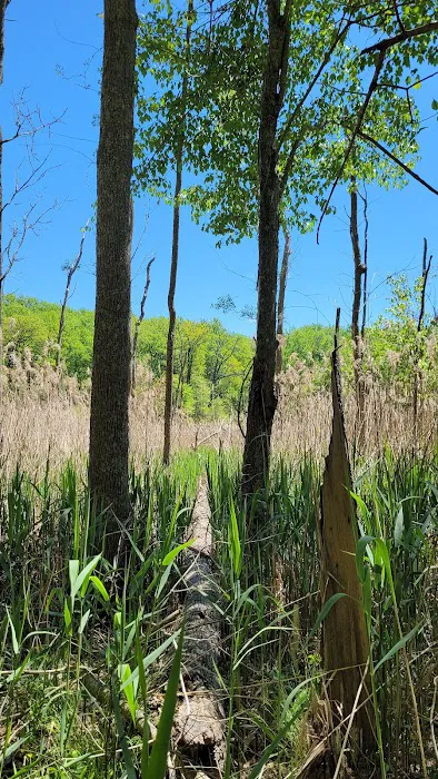 Calvert Cliffs Campground 9