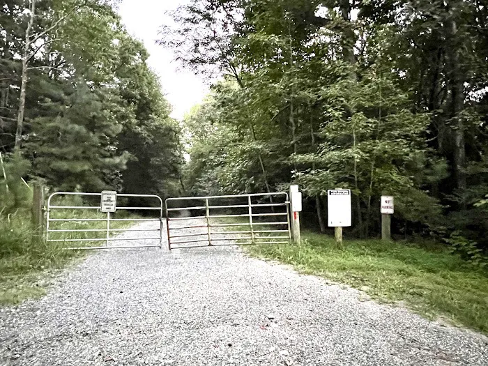 Calvert Cliffs Campground 8