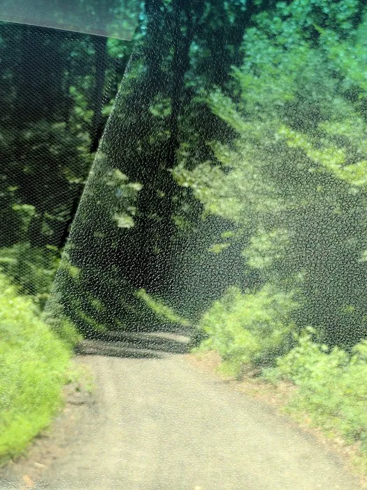 Chesapeake Ranch Estates Campgrounds 9