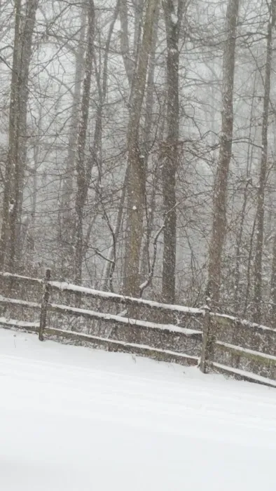 Chesapeake Ranch Estates Campgrounds 3