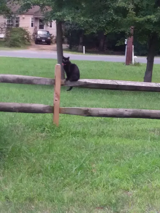 Chesapeake Ranch Estates Campgrounds 1