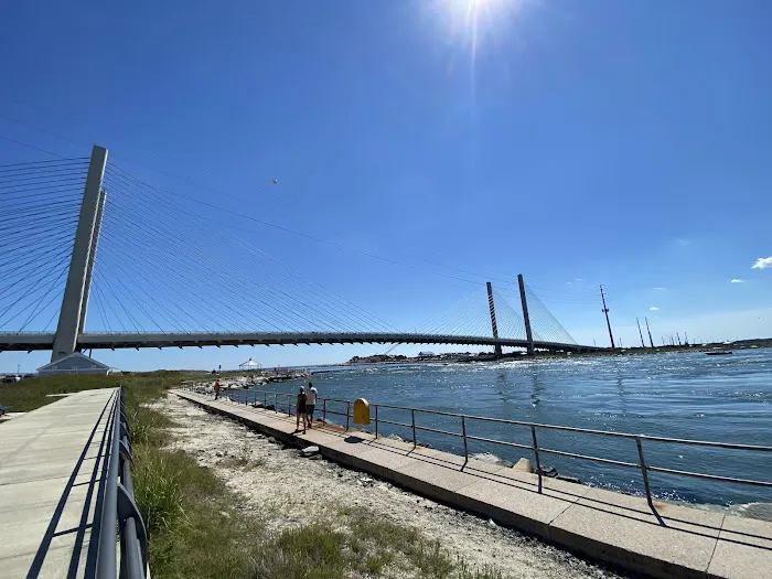 Delaware Seashore State Park North Campground 9