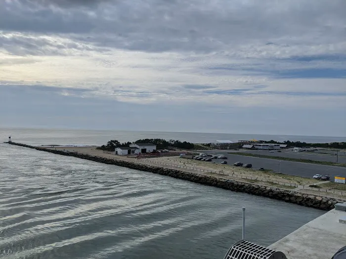 Delaware Seashore State Park South Campground 3