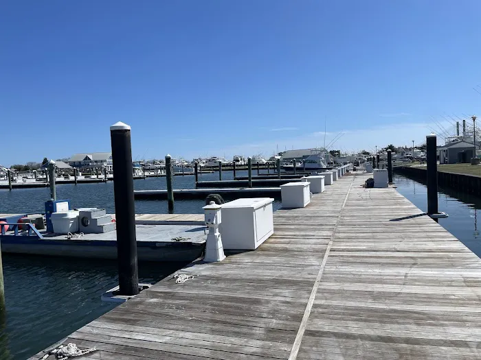 Delaware Seashore State Park South Campground 7