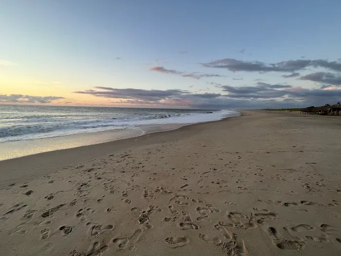 Delaware Seashore State Park South Campground 5