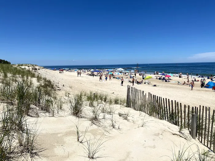 Delaware Seashore State Park South Campground 4