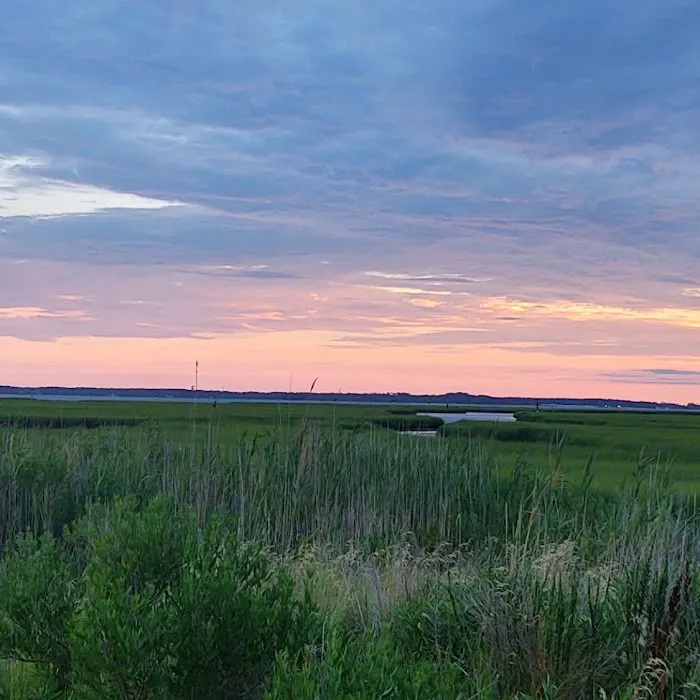 Delaware Seashore State Park South Campground 6