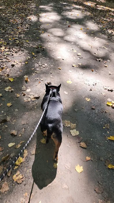 Watkins Regional Park Campground 4