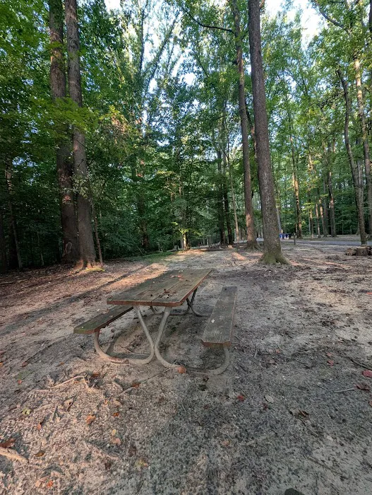 Watkins Regional Park Campground 3