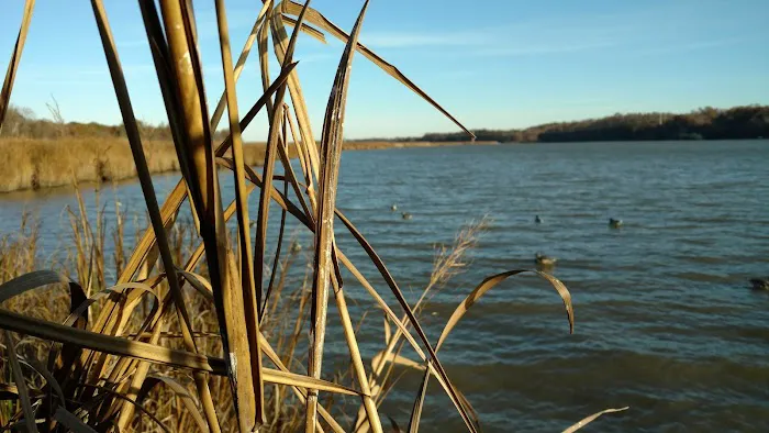 Milltown Landing Campsite 3