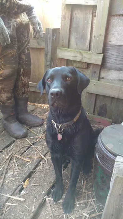 Milltown Landing Campsite 4