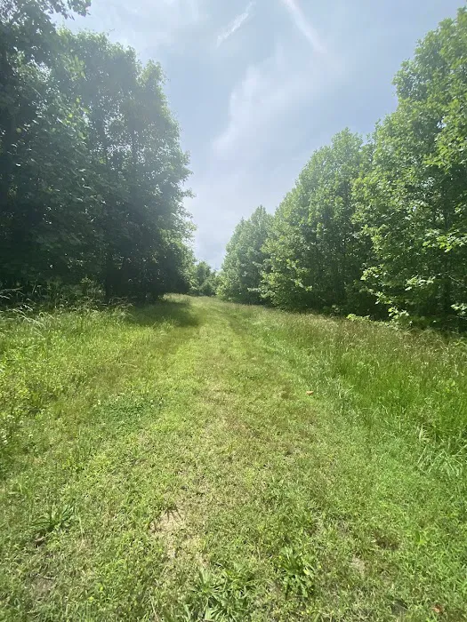 Milltown Landing Campsite 7