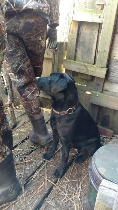 Milltown Landing Campsite 5