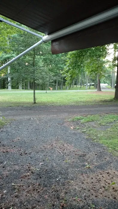 Patuxent Camp Sites 7