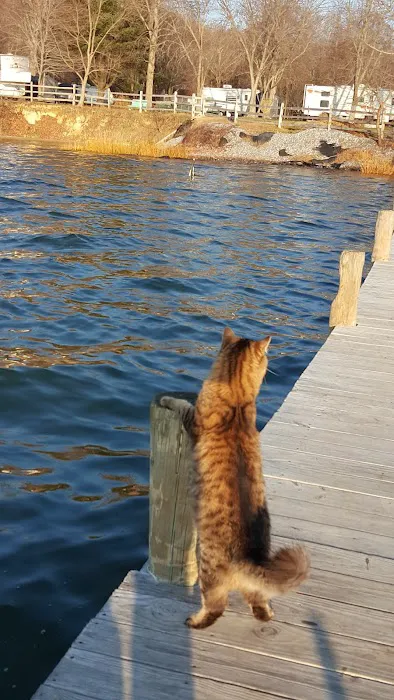 Patuxent Camp Sites 9