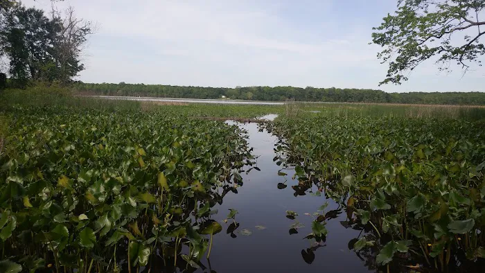 Patuxent River Park - Pavilion and Camp Ground 4