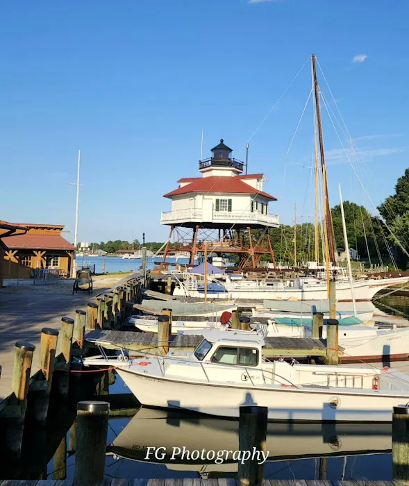 Solomon Islands Camp Ground E 2
