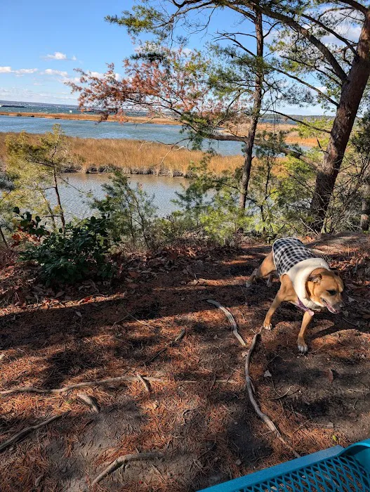 Hog Point Campground 6