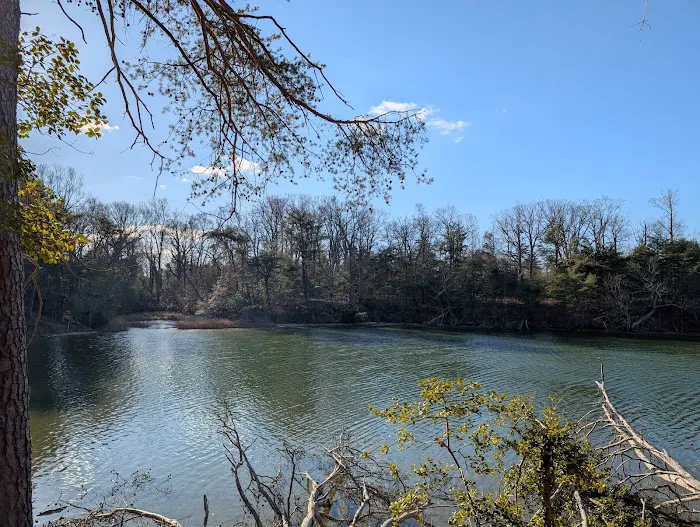 Hog Point Campground 9