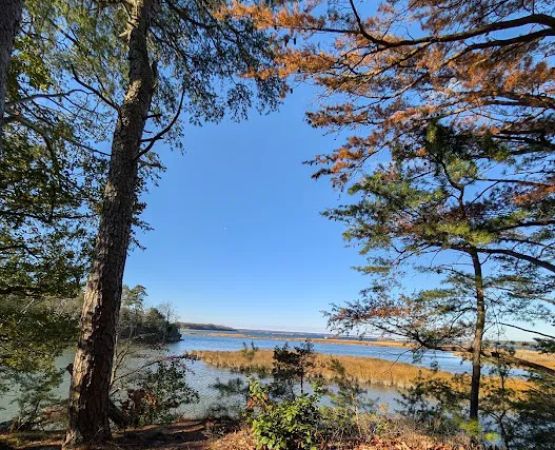 Hog Point Campground