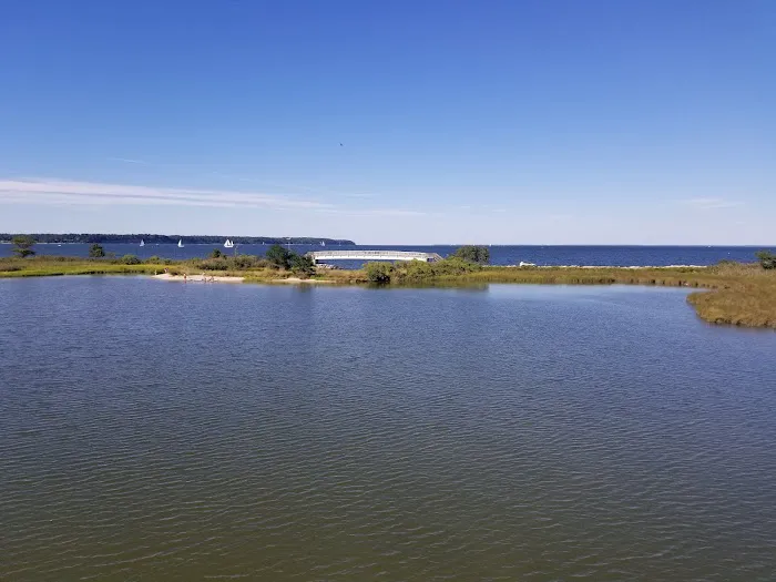 Paradise Grove Campground 5