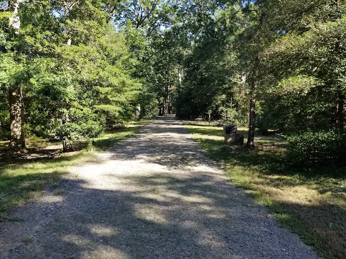Paradise Grove Campground 1