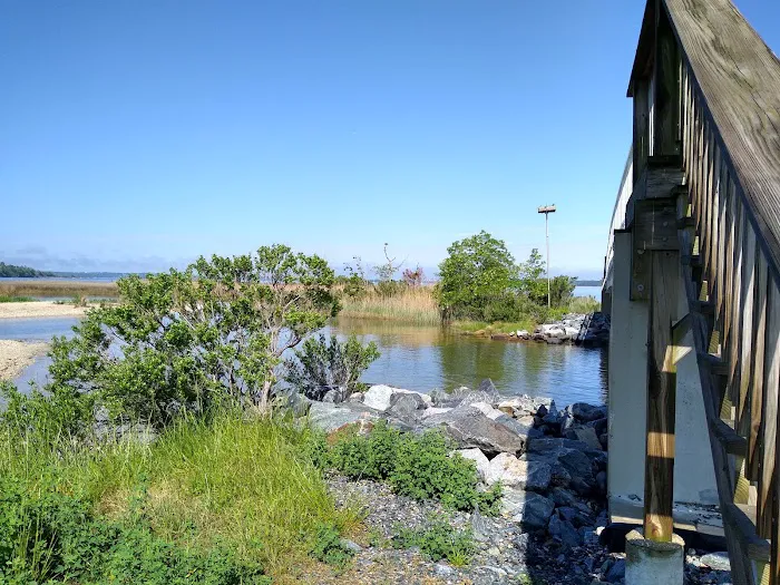 Paradise Grove Campground 9