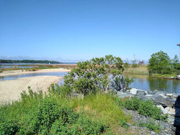 Paradise Grove Campground 8