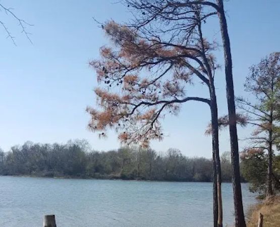 Goose Creek Campground