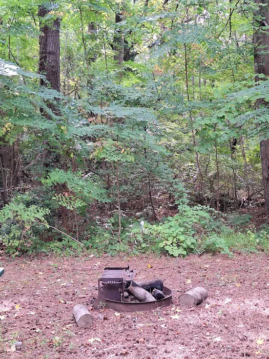 Goose Creek Campground 2