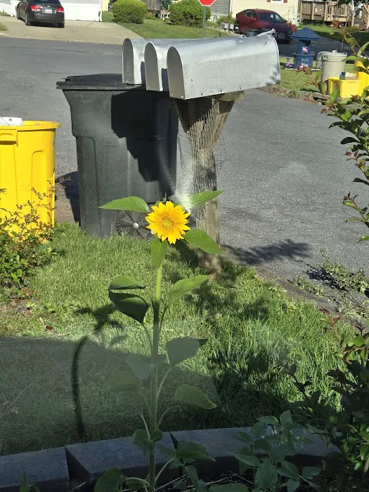 Holiday Mobile Estates 6